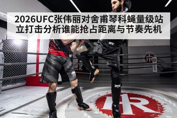 UFC flyweight striking distance footwork